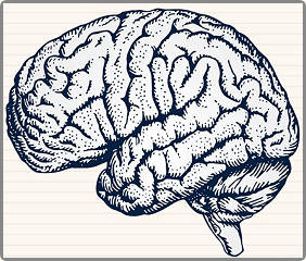 Brain Mappers Photographic Memory