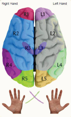 Brain Mappers DMIT